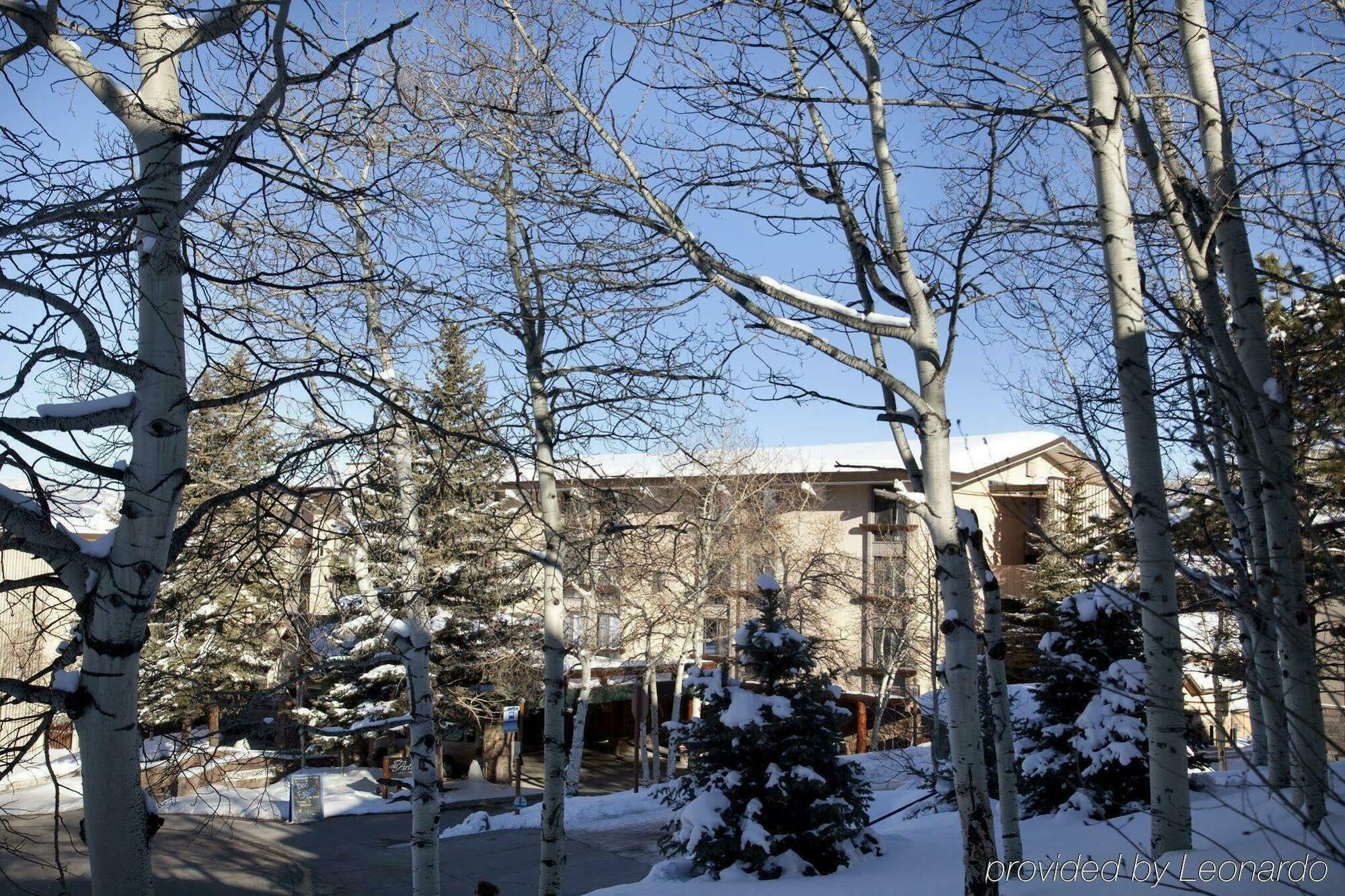 Tamarack Townhomes - Coraltree Residence Collection Snowmass Village Luaran gambar